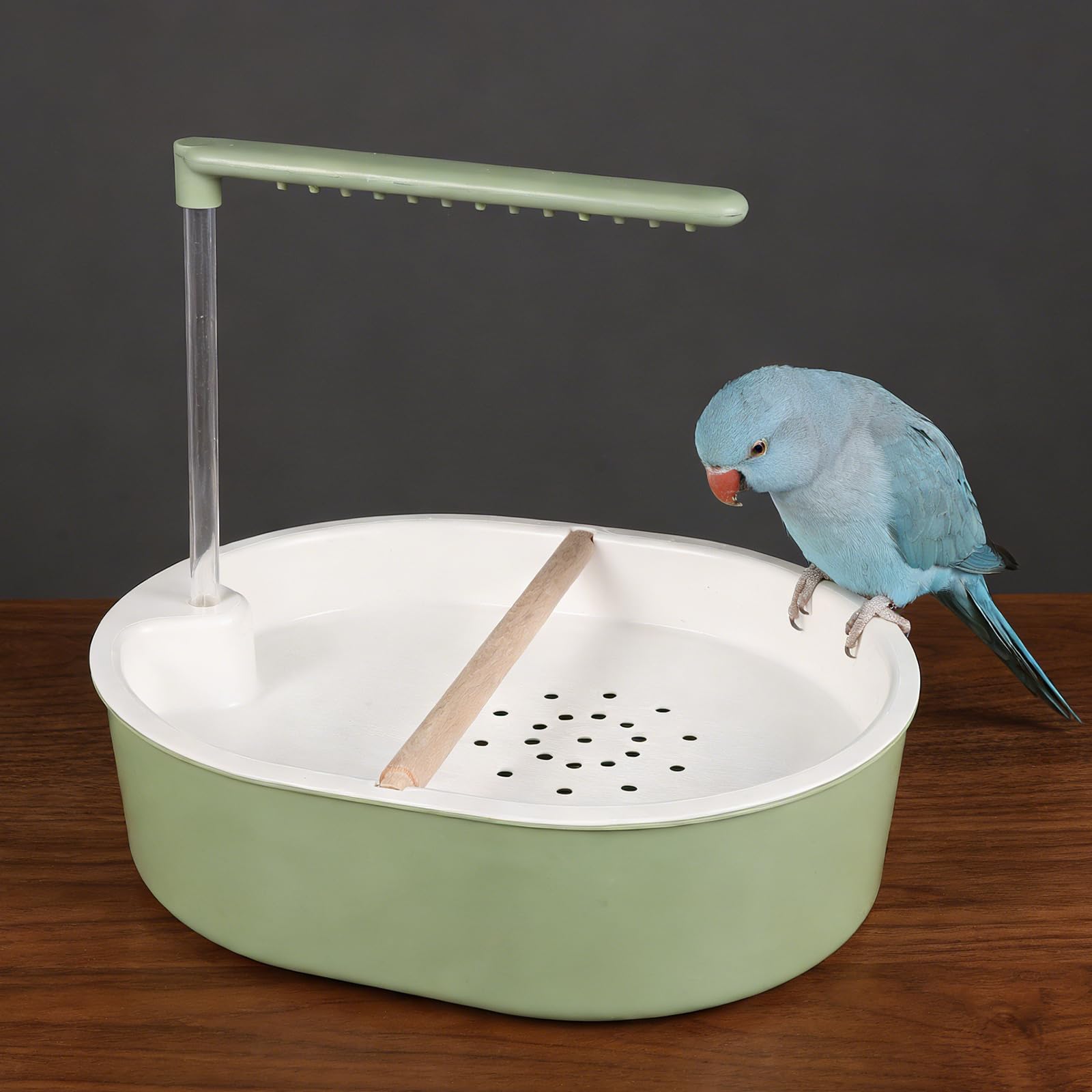 Baño de Ducha para Pájaros Automático con Bomba Ajustable, Bañera Interior de Plástico Azul Grisáceo con Tubo Transparente de 20 Cm y Perchero de Madera de Haya, Accesorio