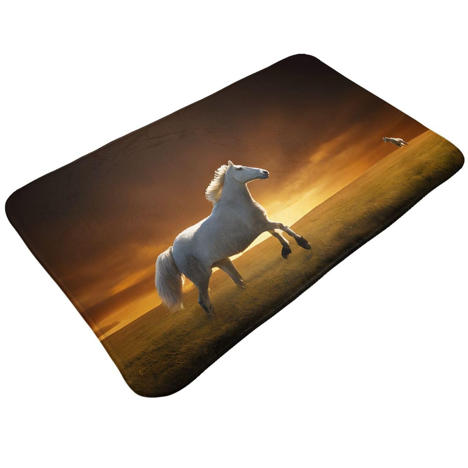 Black Horses Red Glowing Clouds Print Living Room Bathroom Kitchen Anti Slip and Absorbent Carpet, Indoor Entrance Door Muddy Floor Mat, Ultra Soft Washable Carpet 21x31.5 Inches