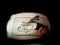 Review Image by Samantha A. Samantha A.