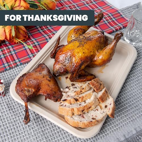 Hooray Mida 50 Pack 14 Inch Disposable Food Trays thumb #3