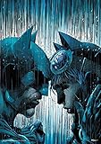 MIGHTYPRINT DC Comics – Catwoman and Batman – Under the Weather – Batman #50 Variant Cover – Durable 17” x 24 Wall Art – NOT Made of Paper – Officially Licensed Collectible MP17240581