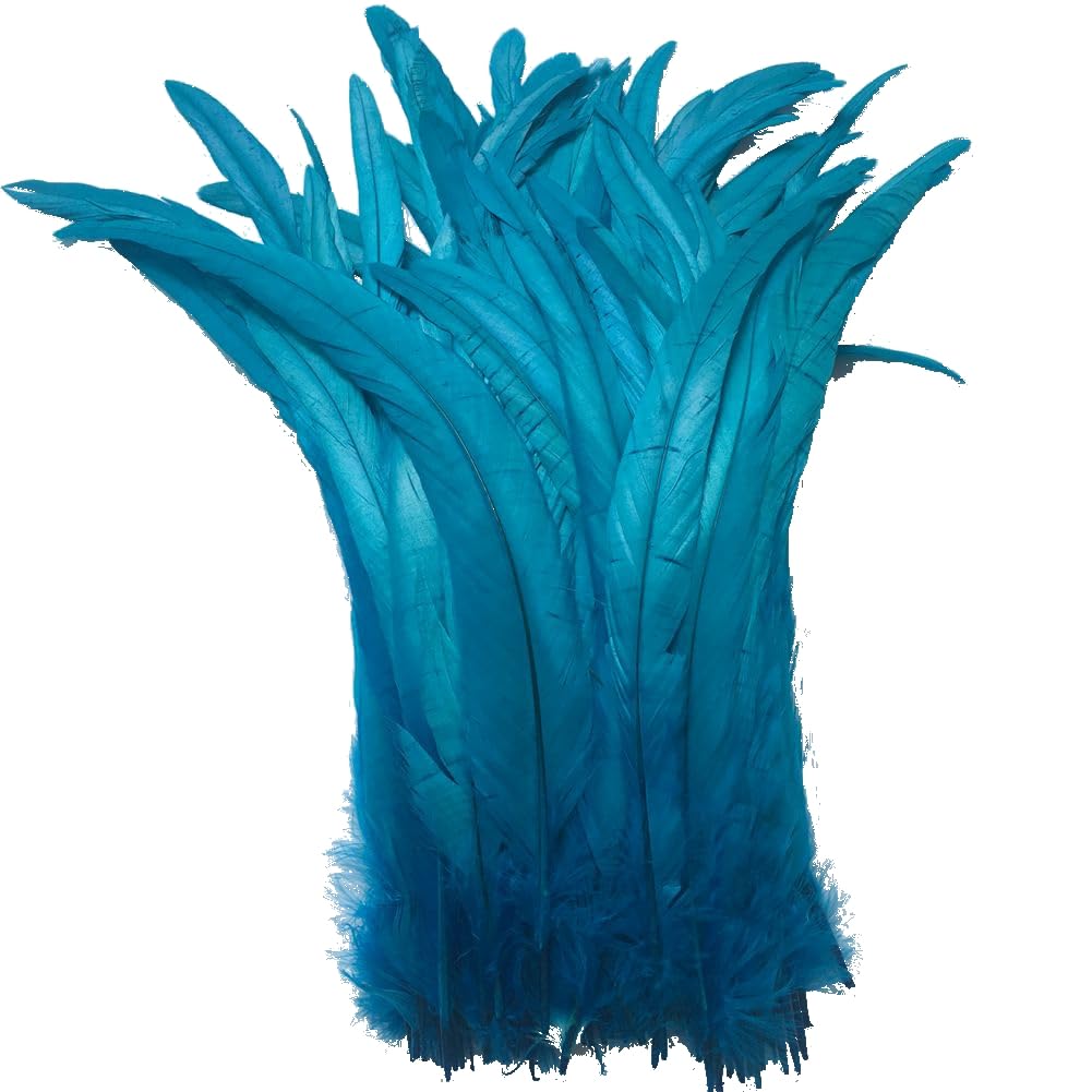 Sowder Turquoise Rooster Coque Tail Feathers 12-14inch Lengh Pack of 50