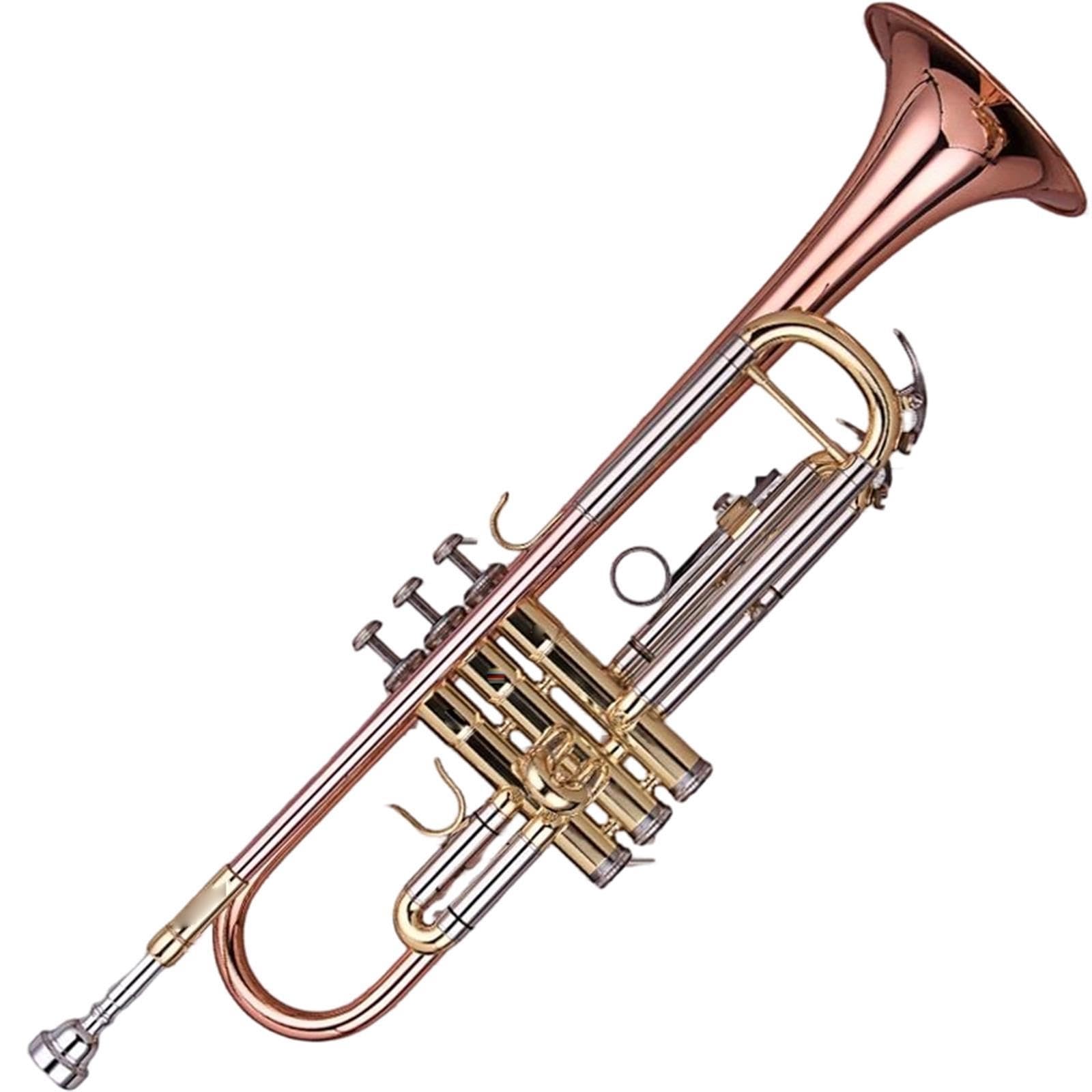 Standard Trumpet Trąbka Bb dla początkujących