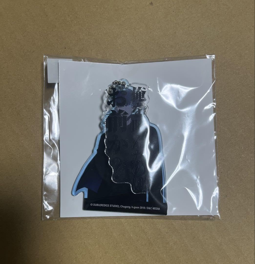 俺だけレベルアップな件　18巻　アニメイト限定 アクリルキーホルダー　水篠旬 Amazon.co.jp: 俺だけレベルアップな件 18巻 アニメイト限定