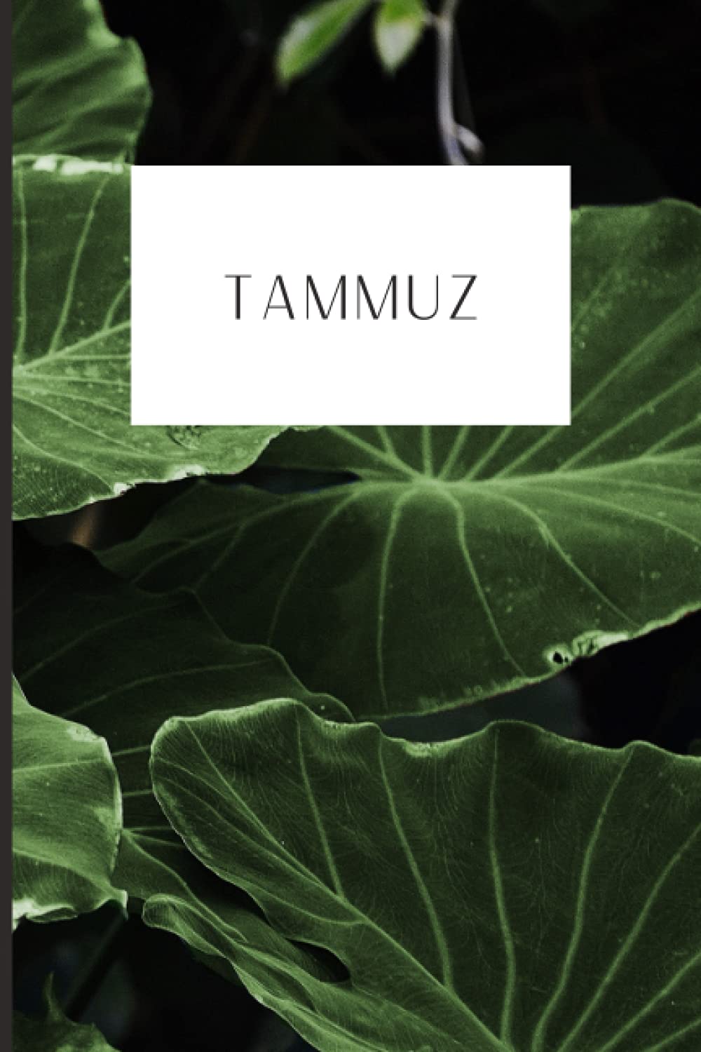 Hebrew Month Prayer Journal: Tammuz: Paperback, 120 Pages (Hebrew Month Prayer Journal: Spiritual Growth Series (Set of 12 Journals))