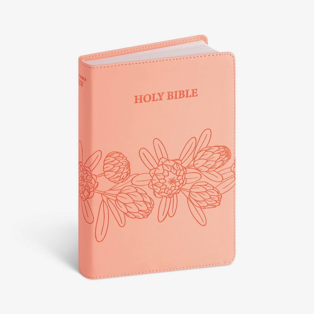 アート・デザイン・音楽 HOLY BIBLE MACK AMC 61zrlMPGS5L.jpg
