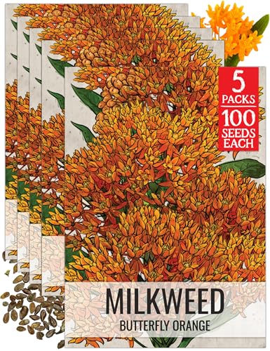 Image of Seed Needs Orange Butterfly Milkweed Seeds for Monarch Butterflies 5 Packs