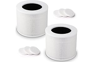 LEOVIT Core Mini Air Purifier Replacement Filter: 2-Pack for Enhanced Air Quality