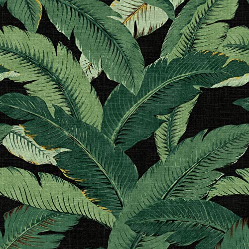 Tommy Bahama - Peel and Stick Designer Wallpaper, Premium Tropical