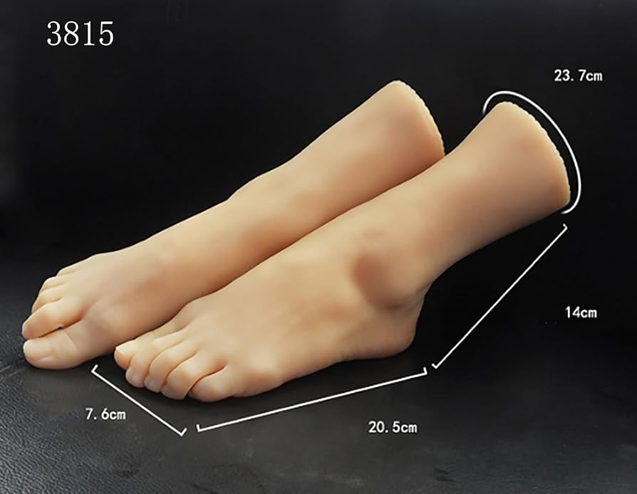 アメリカンアナトミカル社製 足模型 【公式通販】