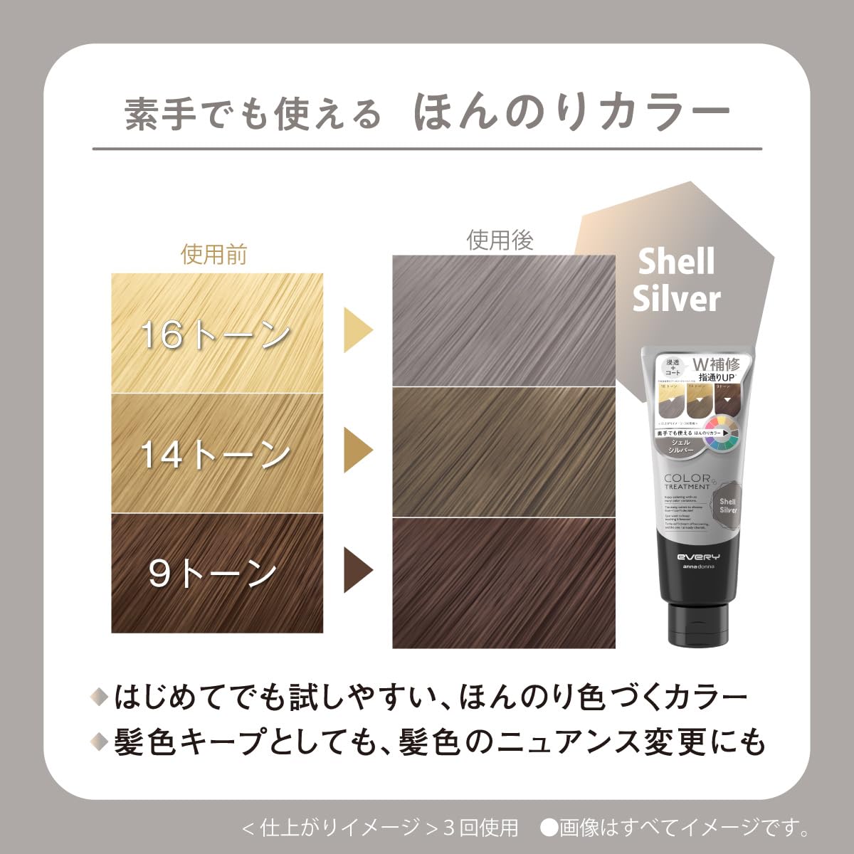 【リニューアル品】EVERY(エブリ) アンナドンナ エブリカラートリートメント単品 160g (シェルシルバー)