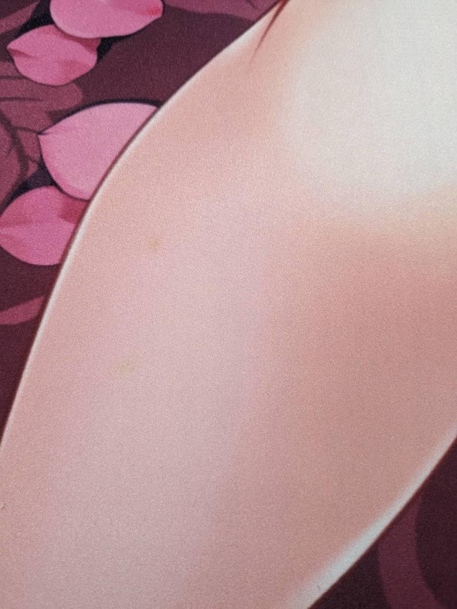 Amazon.co.jp: 中古品国内未発売 台湾 限定 冴えない彼女の育てかた  