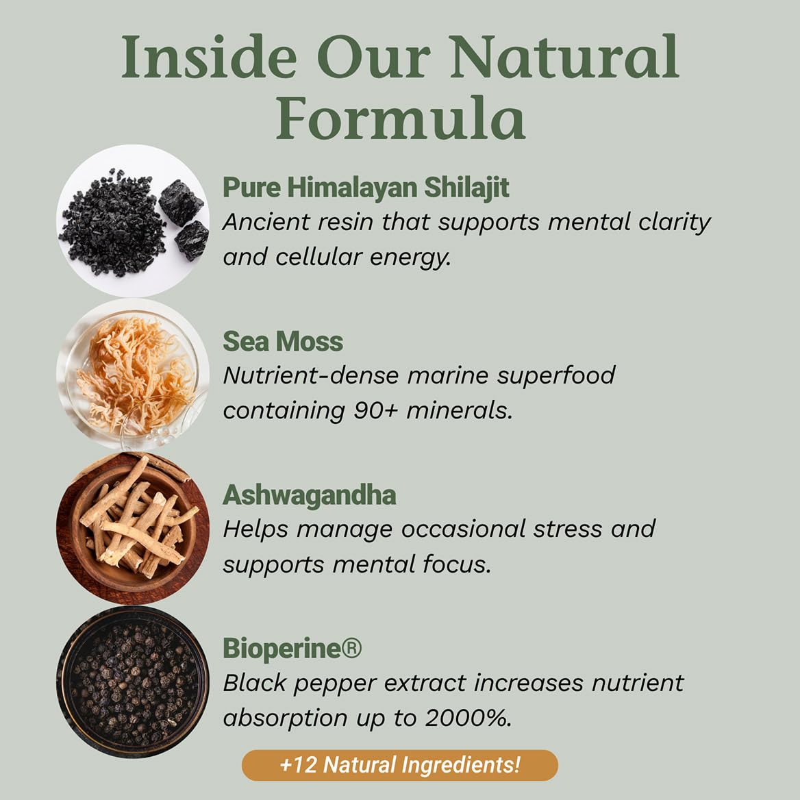 Native Remedies Sea Moss & Shilajit Complex - Natural Energy & Immune — Amazon image 3
