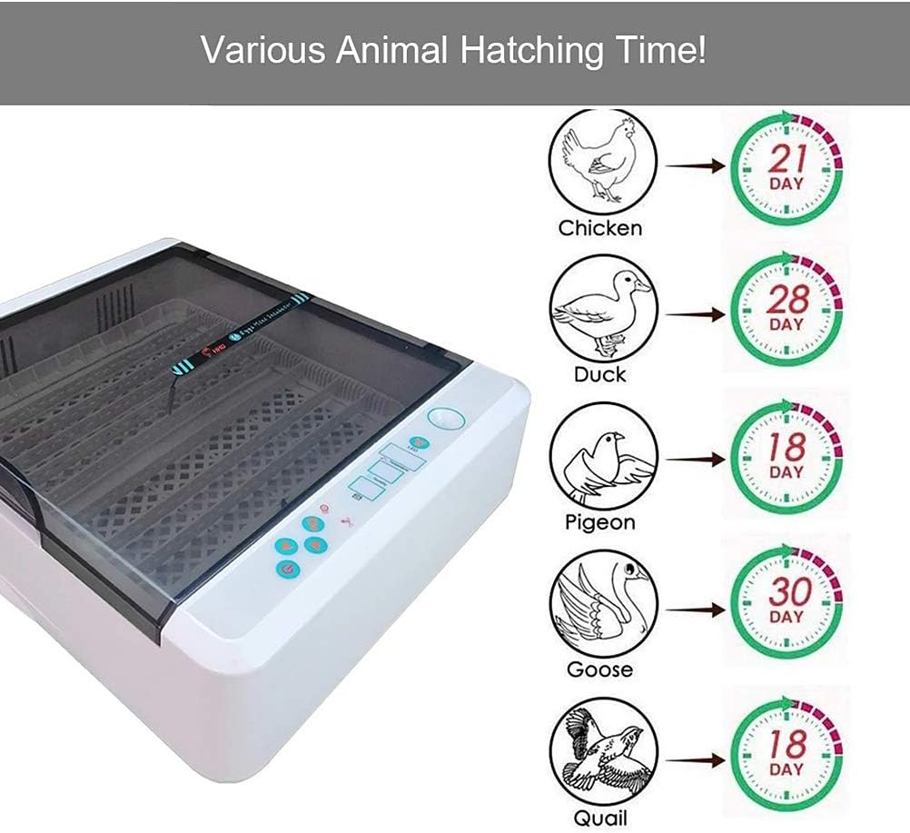 squier telecaster nito ichickaさんのストラップ付き