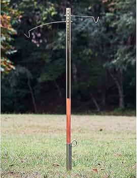 61zs3ptV7PL._AC_UF350,