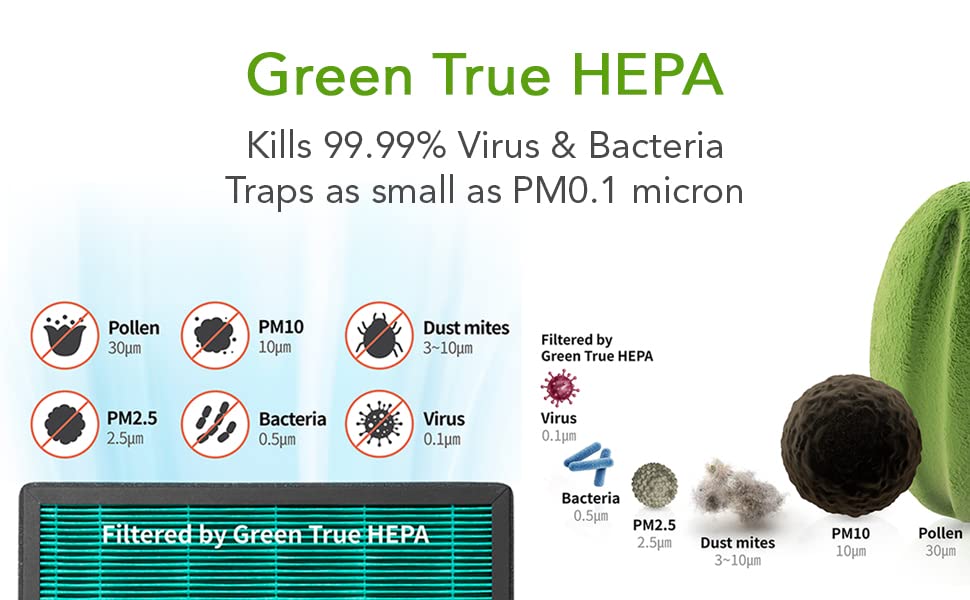 Image of Coway Air Purifier Green True HEPA Filter - Longest Life 8500 Hrs, Traps 99.99% Virus & PM 0.1 Particles (Carbon Filter for AirMega Storm | AP-1220B)