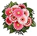 Produktbild Blumenstrauß Blumenversand "Gerberagruß" +Gratis Grußkarte+Wunschtermin+Frischhaltemittel+Geschenkverpackung