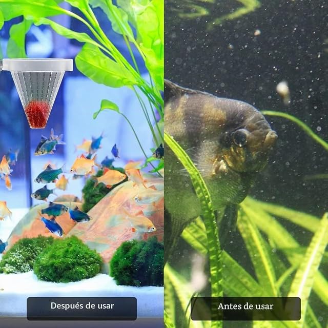 Foto 6 de 8 de Alimentador de cono de acuario, 4 unidades, tanque de peces, alimentador de gusano rojo