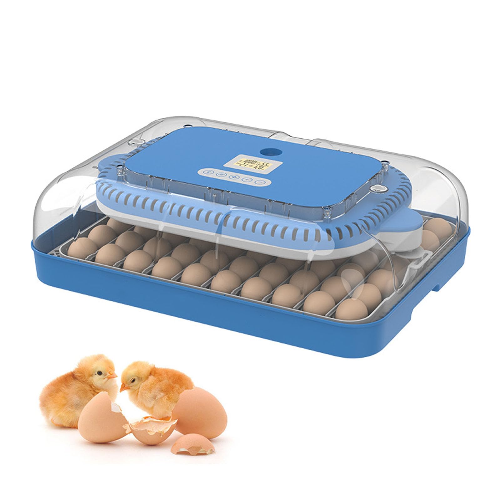 Amazon.co.jp: 卵を孵化させるための孵卵器、 雛を孵化させるための