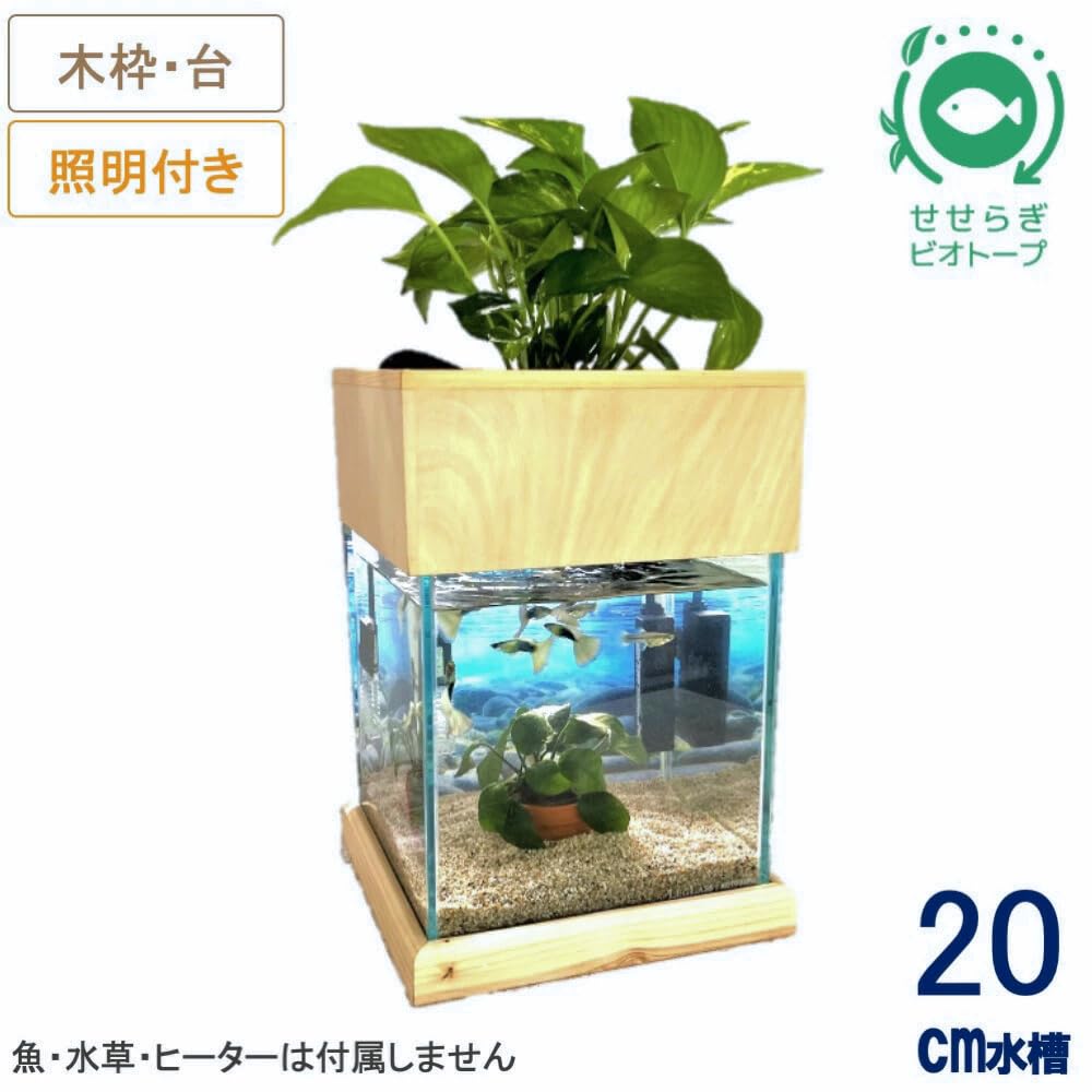 Amazon | せせらぎビオトープ 水替え不要【水槽セット】 20cm型【色