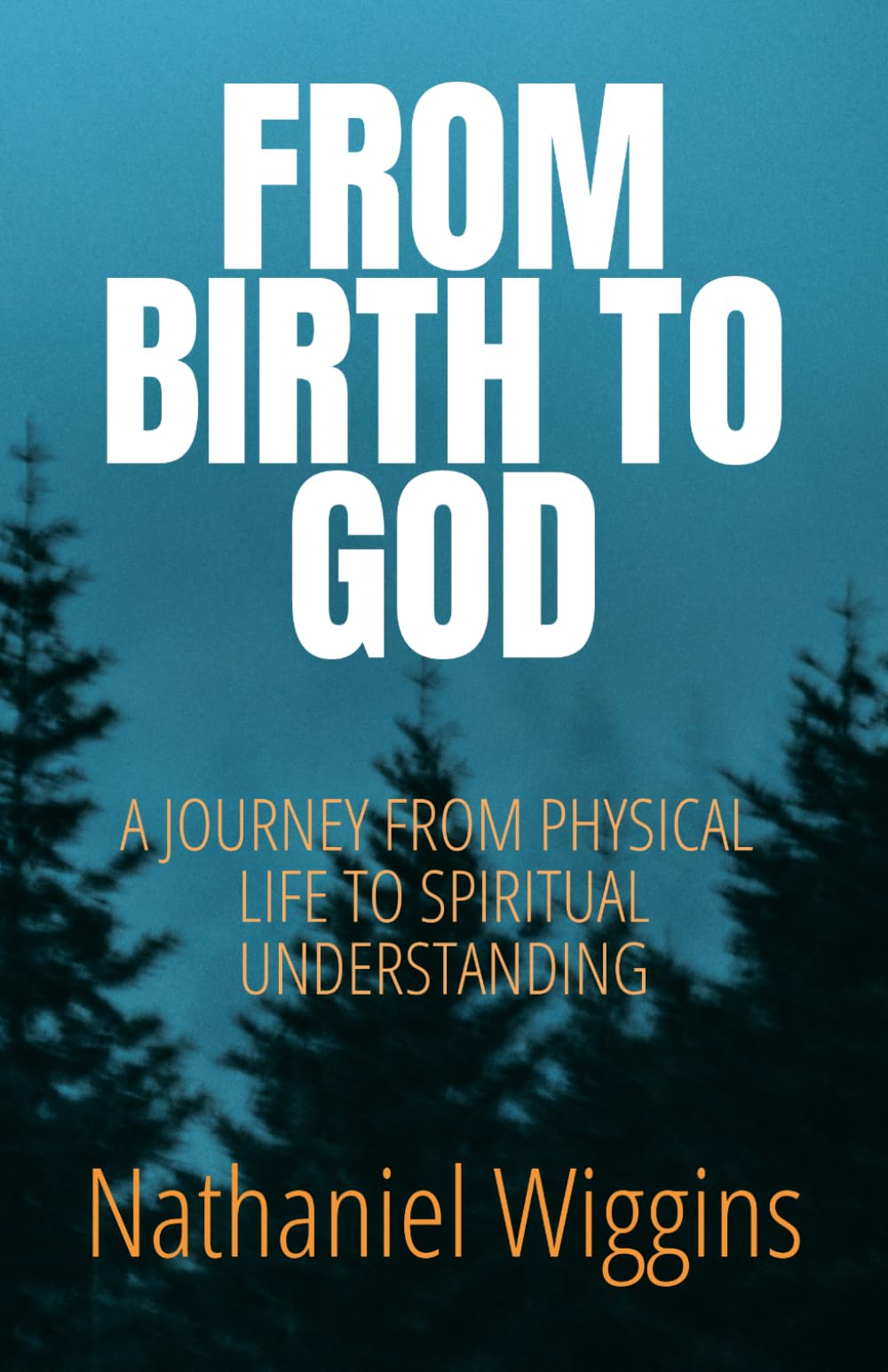 From Birth To God: A Journey From Physical Life To Spiritual Understanding