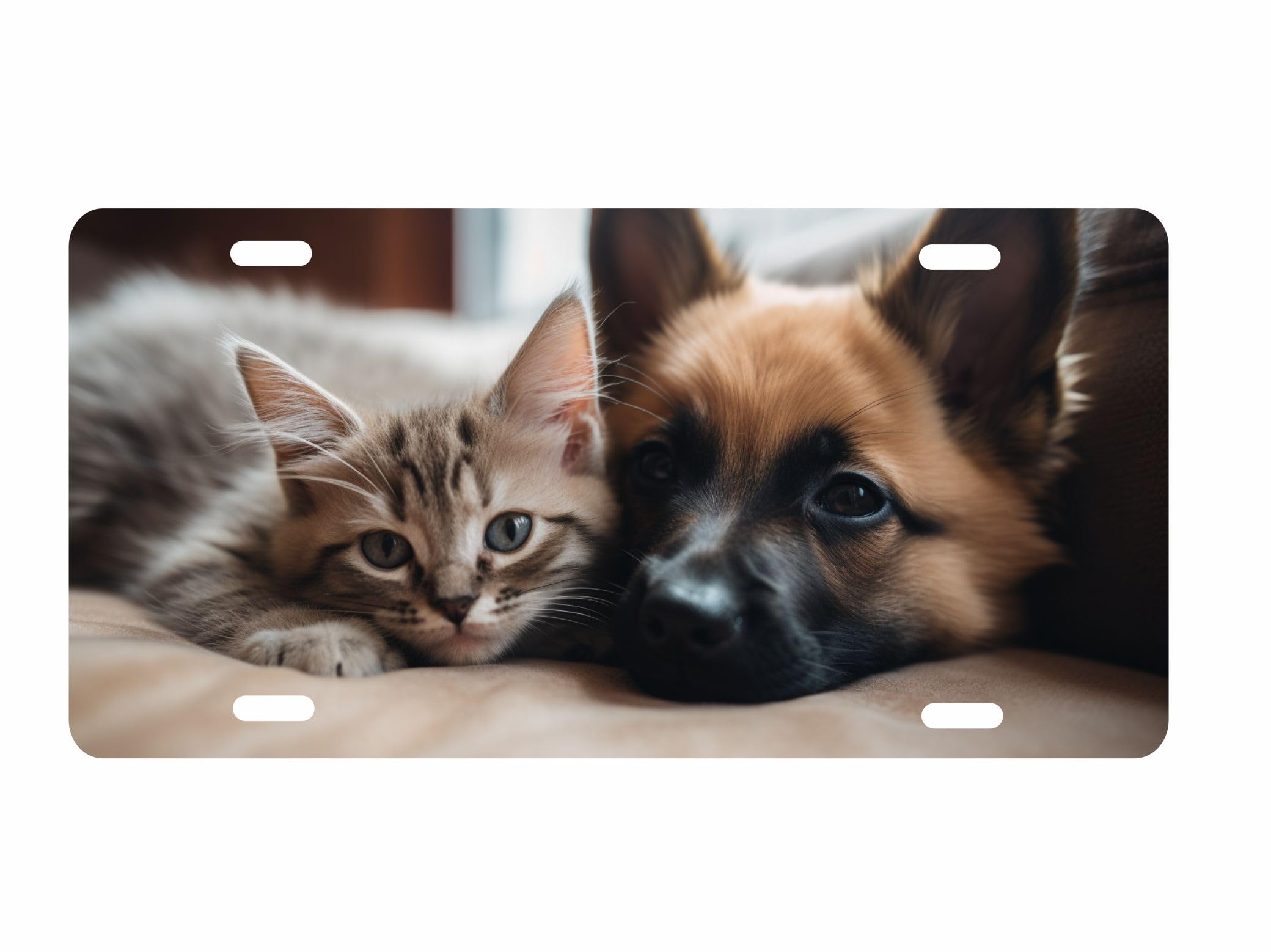 Upload Your own Image Customized Pet Front Plate Personalized with Your Own Dog or Cat Decorative Vanity Aluminum Sign Car Tag 12 x 6 inch