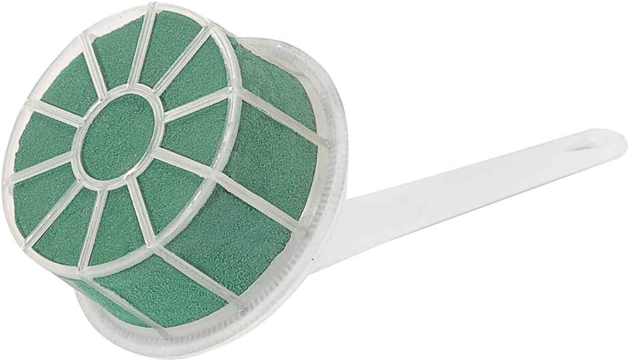 Oasis Floral Foam Lomey for Wedding, Party, Birthday, and Other Occasions - Wedding Bouquet Holder for Flower Decoration, 3 inch Diameter, Pack of 12