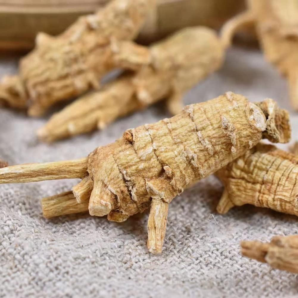 500 Grams Pure Natural Organic American Ginseng Root Panax Quinquefolius (3 Grams/Grain). - Image 3