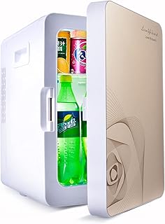 JQAM Mini réfrigérateur 20 litres petit réfrigérateur,réfrigérateur portable pour les soins de la peau,alimentation ca/cc,fonctionnement silencieux de 35 dB, pour les boissons,les aliments,les voyages