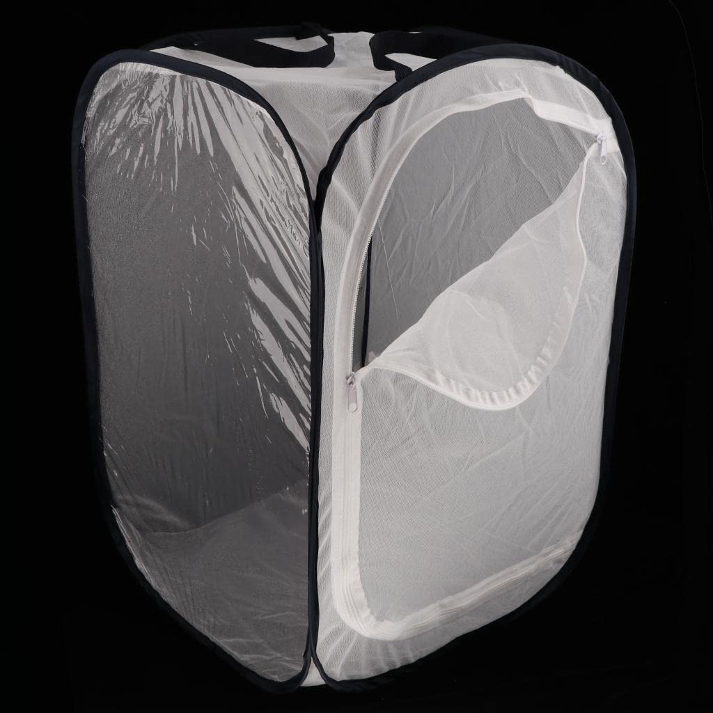 Faltbarer Schmetterlingskäfig mit Transparenter PVC Folie, Faltbares Terrarium Und Schmetterlingsnetz, Blau + Weiß, 40x40x60cm