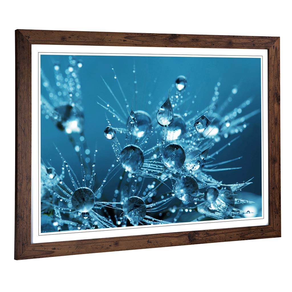 Big Box Art Framed Print of Flower Water on Dandelion Seeds Design | Wall Art Picture | Home Decor for Kitchen, Living Room, Bedroom, Hallway, Walnut, A2 / 24.5x18 Inch / 62x45cm