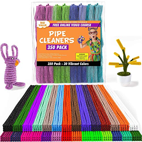Home Pro Shop 350 Pieces Pipe Cleaners for Craft Supplies - Soft Bristle, Flexible & Durable Pipe Cleaner for Crafts, Fun Creative DIY Ar, & Decorations - 6mm x 12inch Chenille Stems in 30 Colors