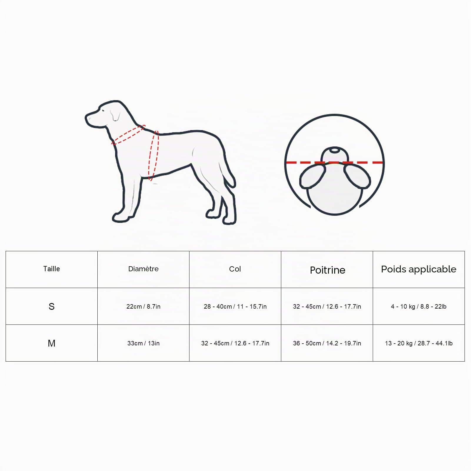 Harnais pour Chien Aveugle, Fixation Facile, Pare-Chocs Ajustable pour Chien Aveugle, pour Donner Confiance aux Animaux aveugles, Accessoires Anti-Collision pour Petit Chien (S)