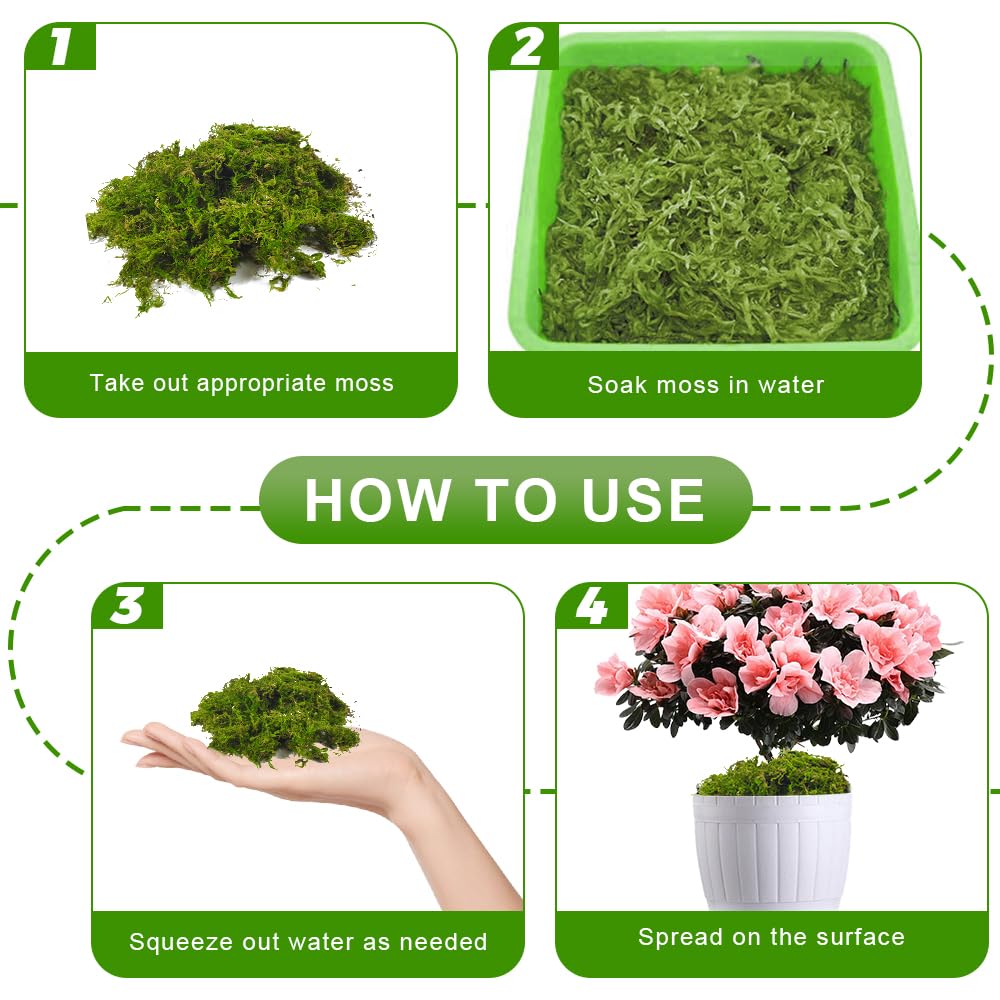 Musgo Sphagnum, 2 x 150 g Musgo para Orquideas, Musgo Natural Sphagnum Moss, Sustrato Orquideas Sustrato Bonsai para Orquídeas, Plantas, Enraizamiento de Esquejes, Reptiles