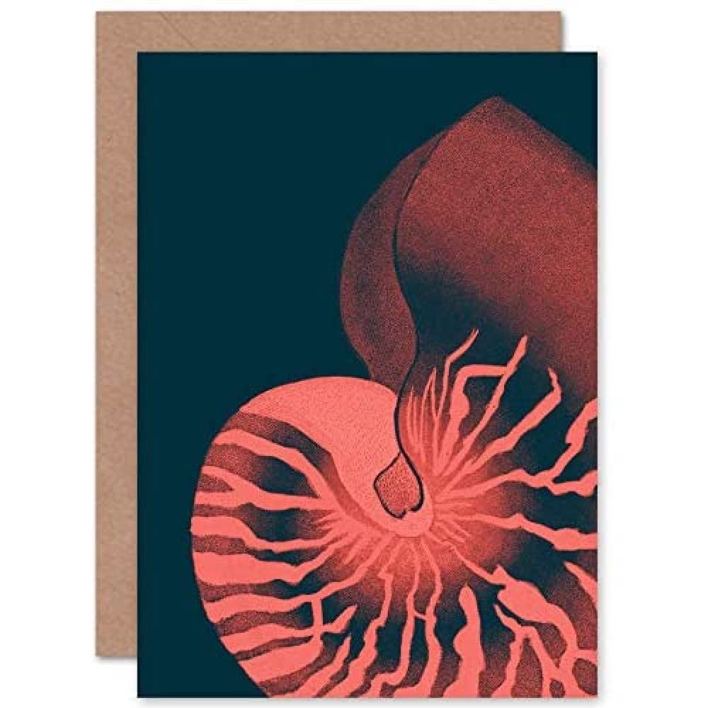 Wee Blue Coo Blue/Pink Wee Coo Seashell Nautilus Greeting Card With Envelope Inside Premium Quality