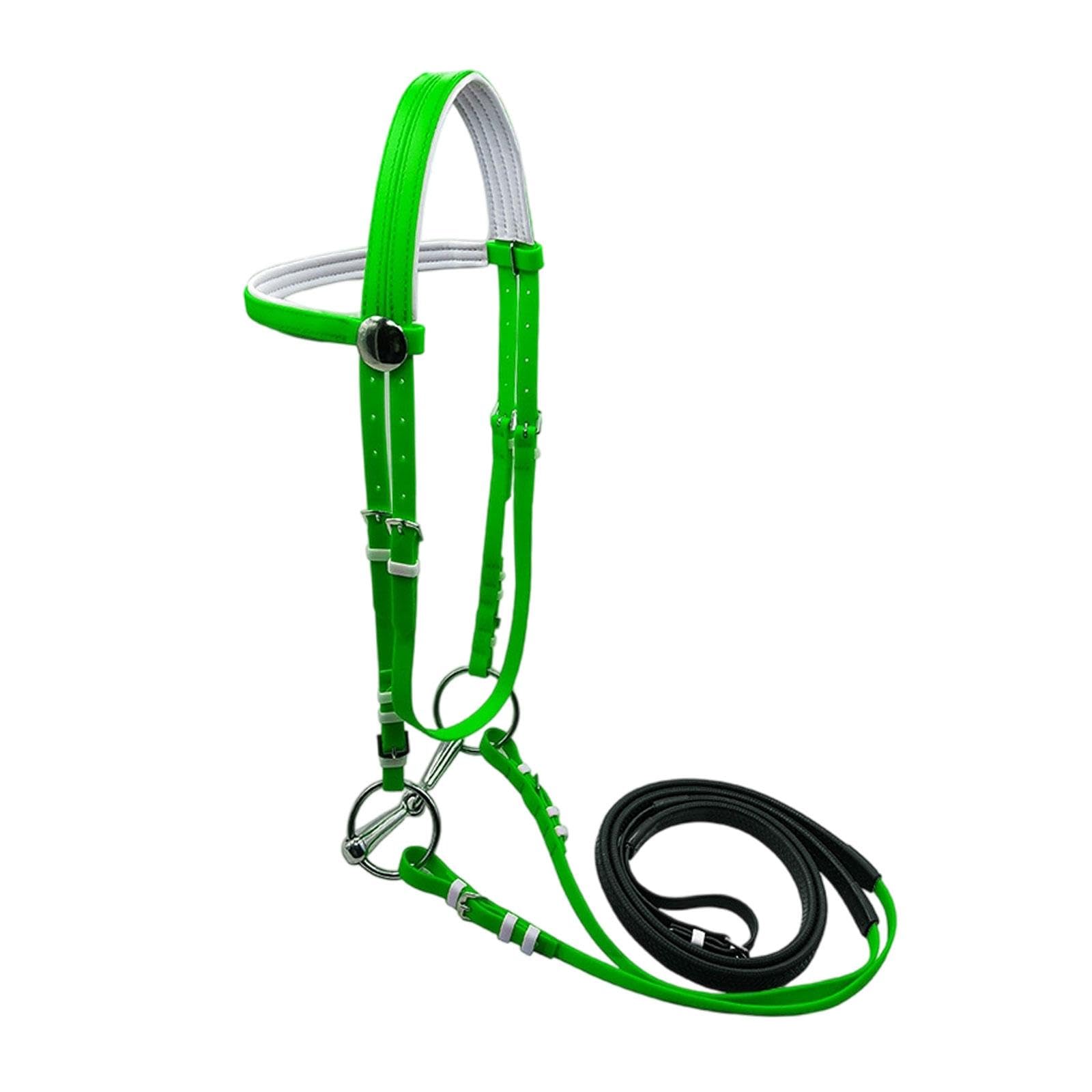 Fenteer Cabezada de Caballo con Rienda, Cabestro, Cuerda de Montar, Correa para La para Lecciones, Cursos, Senderos, Entrenamiento en Pist