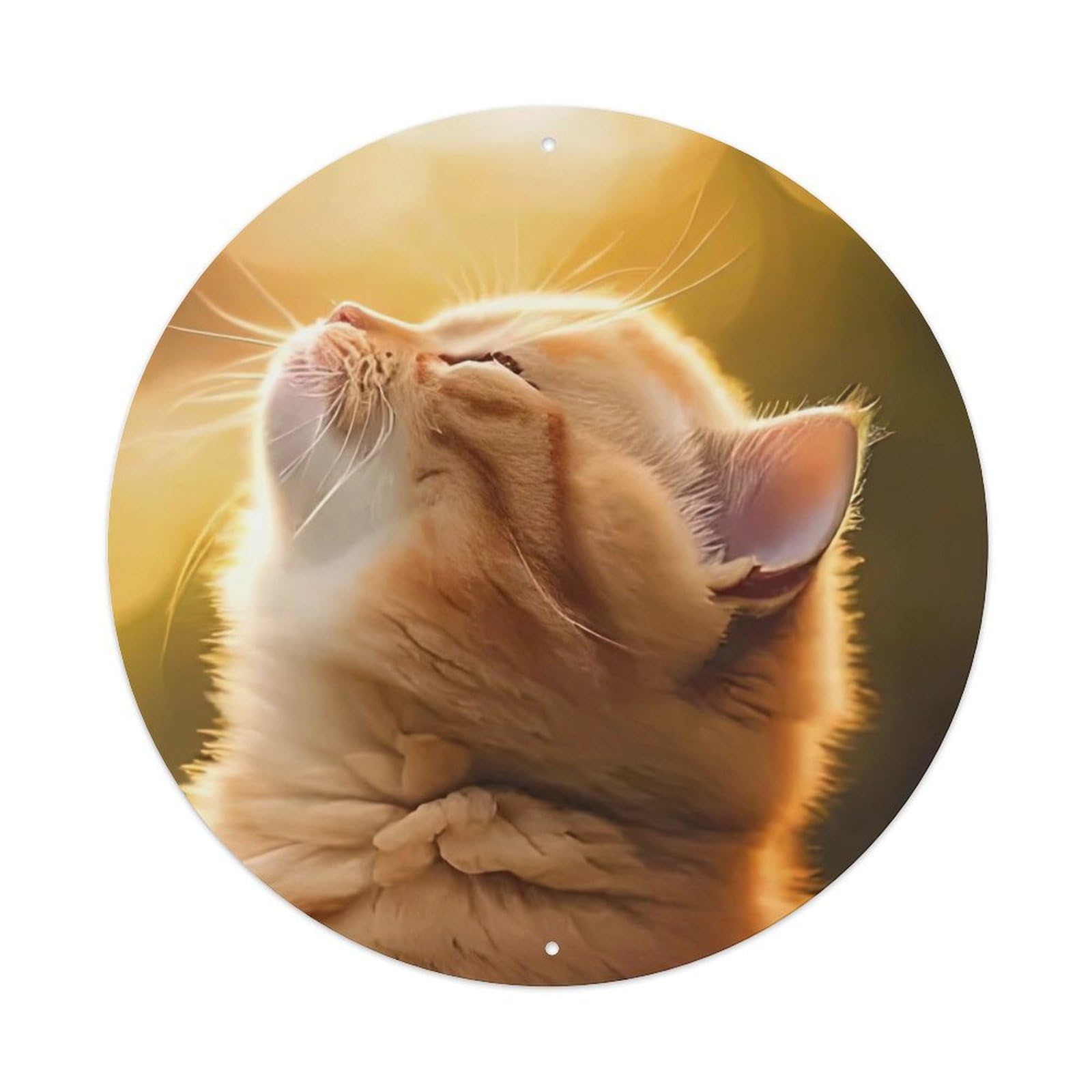 Cwbufd Vintage Style Animal Ginger Cat In Sunlight With Soft Bokeh Background Vintage Metal Tin Sign Plaque Wall Decor For Cafe, Club Bar, Office, Garden Metal Poster 8X8inch