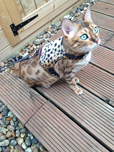 Mynwood - Giacca per gatti in pile leopardato per