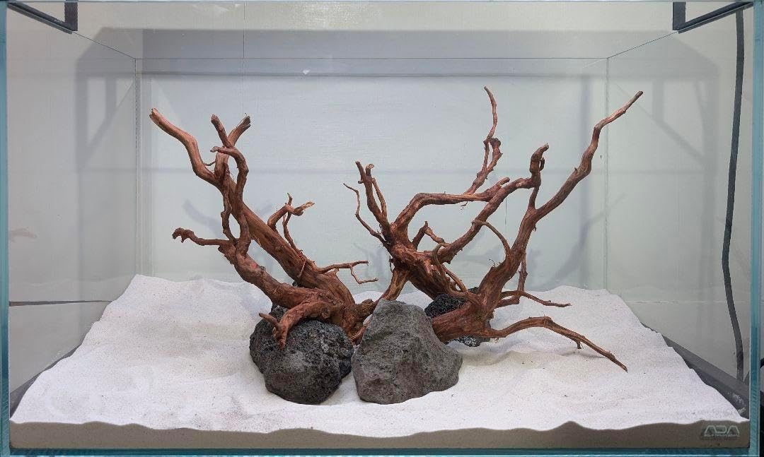 スマトラウッド レイアウトセット 60cm水槽 アクアリウム 2024年最新