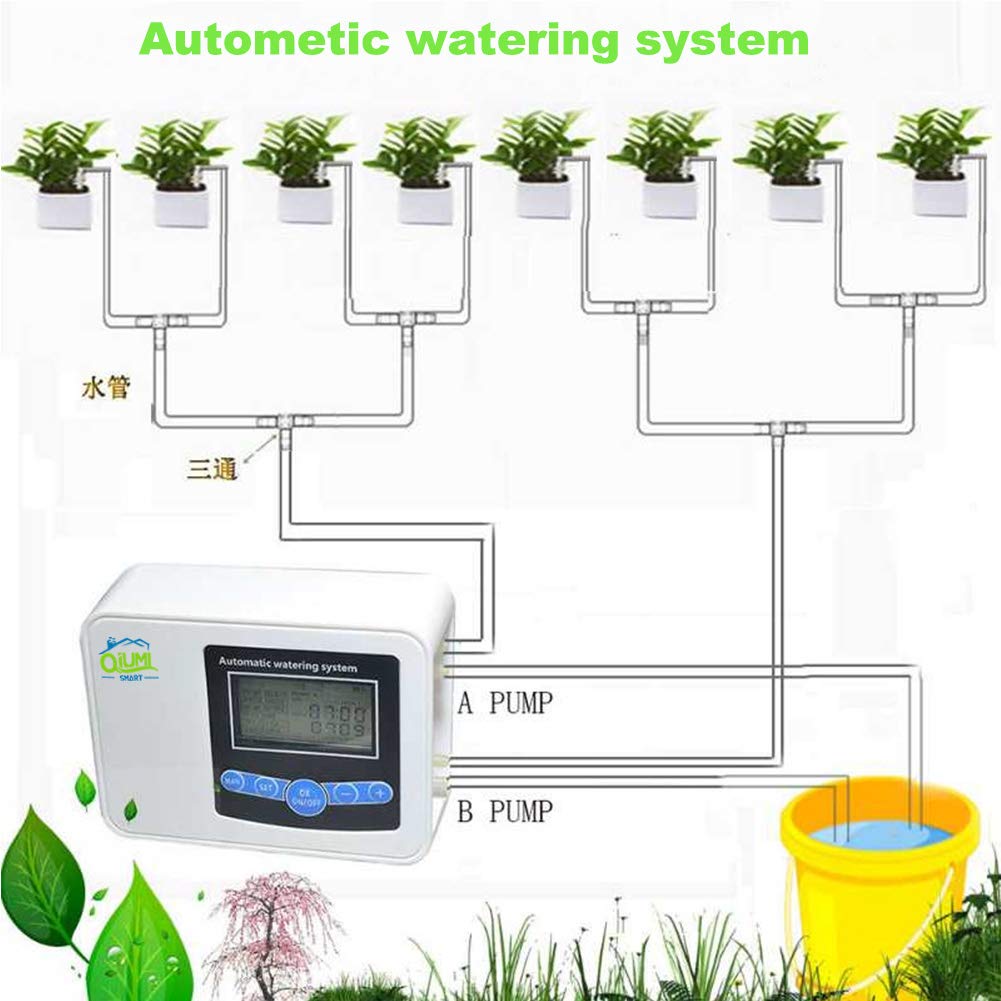 Controller automatico dell'acqua da giardino, prato, fiori da giardino, controller di irrigazione del balcone Irrigazione intelligente per giardino domestico Solare (doppia pompa)