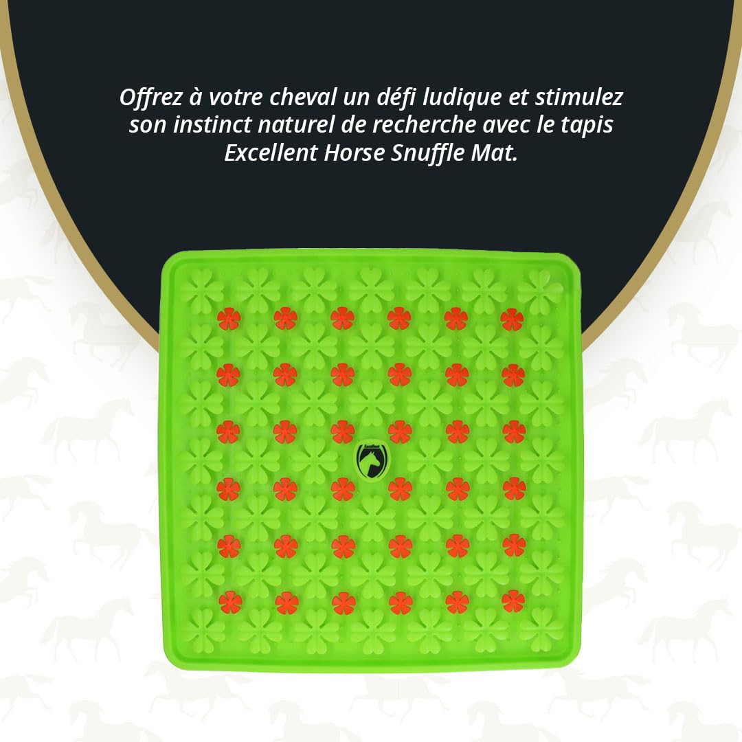 Holland Animal Care Excellent Tapis de Fouille pour Chevaux 50 x 50 cm – Jouet et Tapis d’Alimentation pour Chevaux – Tapis de flairage Contre l’Ennui – Convient à Tous Les Chevaux – Vert