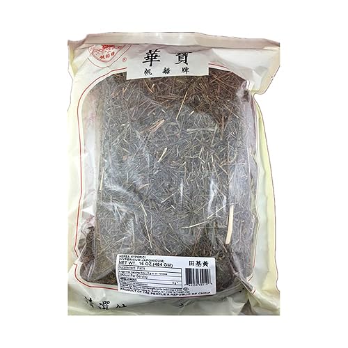 HERBA HYPERICI(HYPERICUM JAPONICUM) 16 OZ