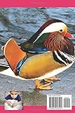 Zoom IMG-1 funny duck