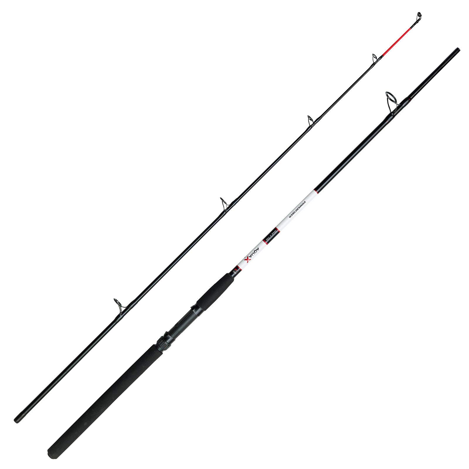 DAM Angelrute Meeresrute Bootsrute - Aqua-X Shad & pilk 2,40m 50-150g