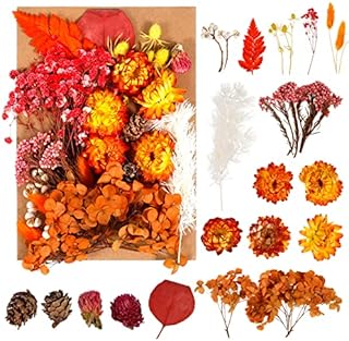 Pinenuts Real Dried Pressed Flowers, 1 Box Mixed Multiple Natural Flowers Leaves, Floral Art Craft for DIY Resin Pendant, Candle Making, Nail Jewelry Crafts and Home Decorations