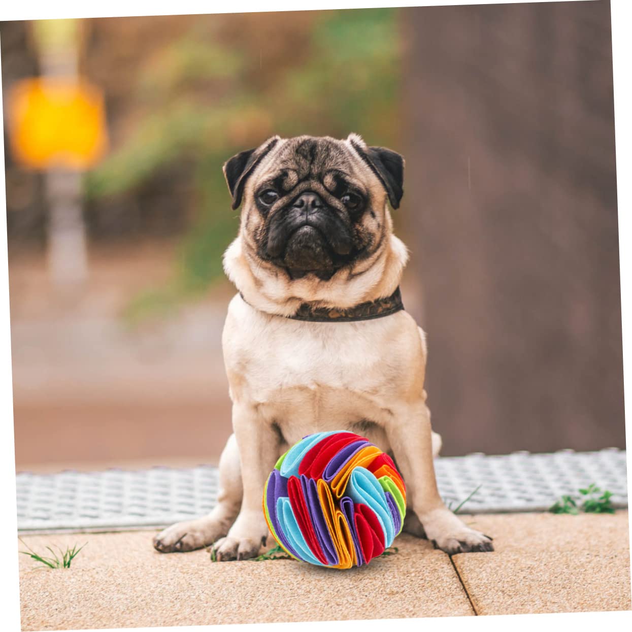 Angoily 2piezas Juguete Interactivo para Perros Bola Olfativa Fugas De Comida Juguete De Masticar para Mascotas para Casa y Jardín Material De Fieltro Resistente y Colorido