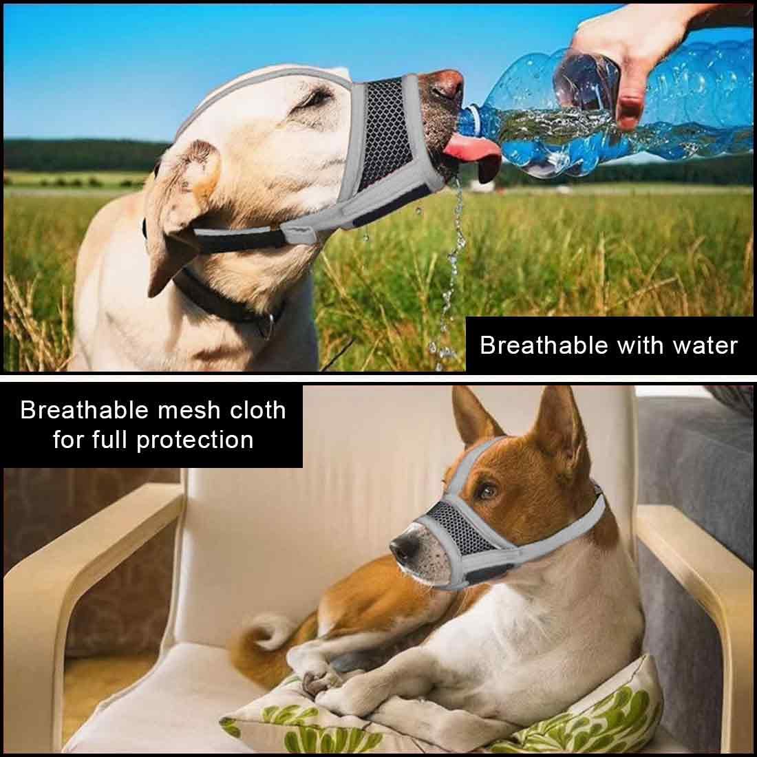 Museruola Cane, Museruola Addestramento per Cani a Maschera, Museruola Traspirante Cani Regolabile con Cinghie, Copertura per Cani di Piccola Media Taglia, S