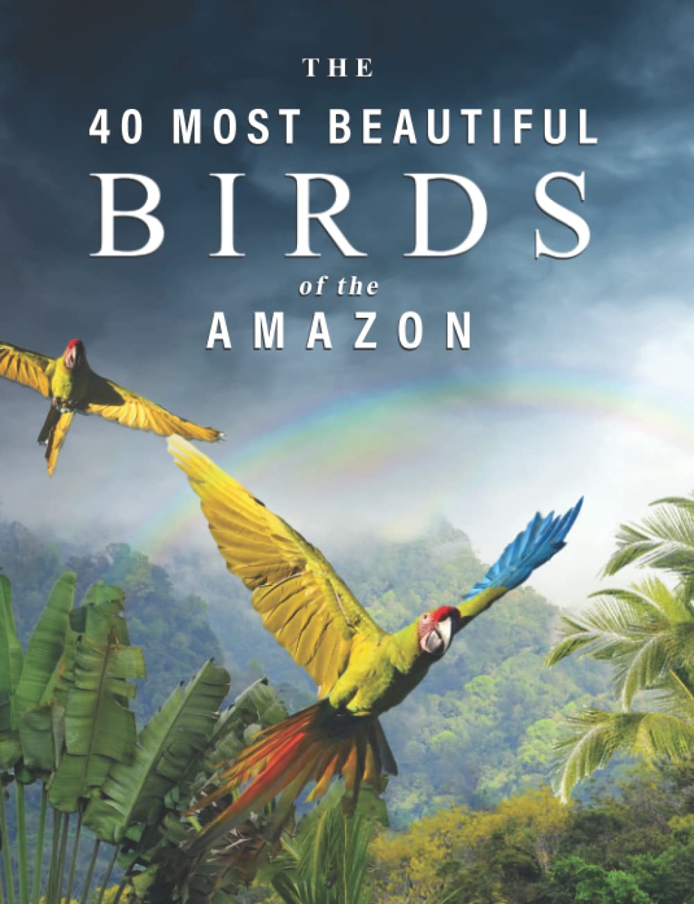 The 40 Most Beautiful Birds of the Amazon: A full color picture book for Seniors with Alzheimer's or Dementia (Vibrant Wonders Picture Books)