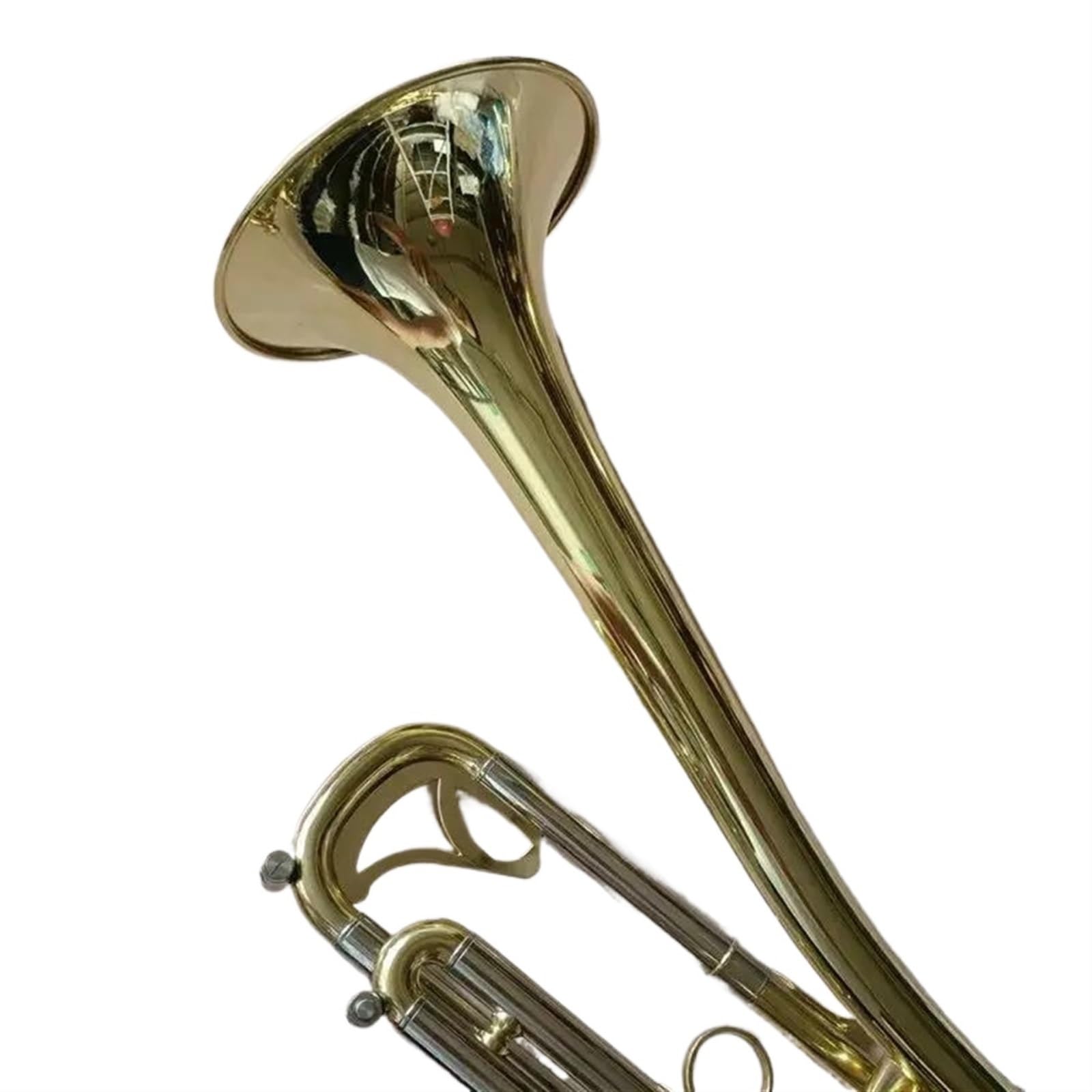 Tromba Standard Per Principianti Produzione Di Strumenti Professionali Per Trombe A Tromba In Ottone