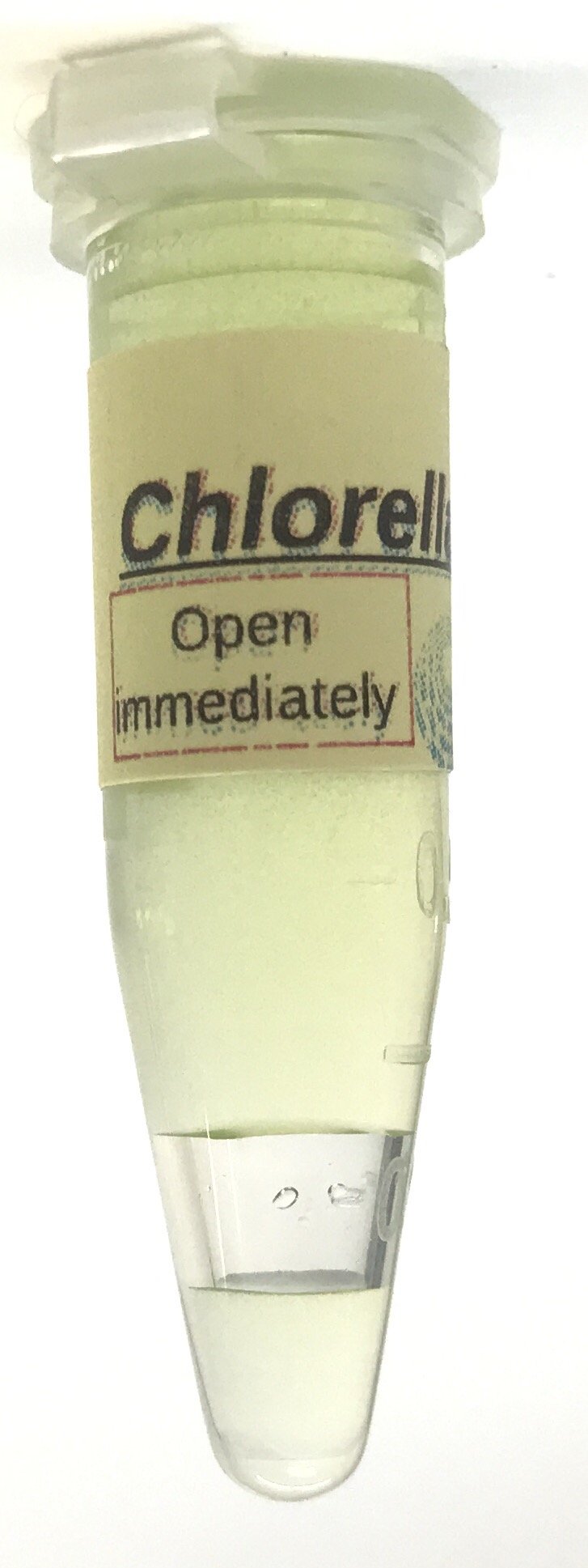 Algae Research Supply Algae Culture Chlorella Vulgaris, Perfect for School Science Fairs/Projects, Experiments & Classrooms (1.7mL)